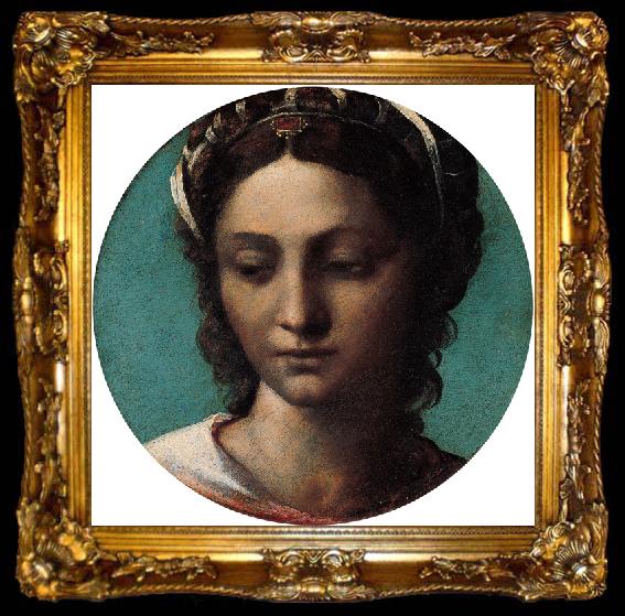 framed  Sebastiano del Piombo Head of a Woman, ta009-2